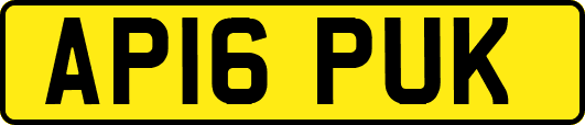 AP16PUK