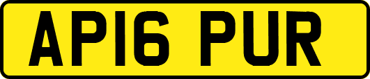 AP16PUR