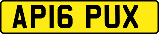 AP16PUX