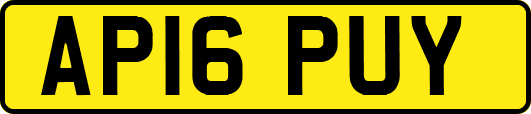 AP16PUY