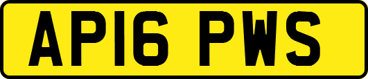 AP16PWS