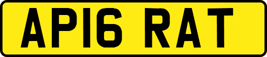 AP16RAT