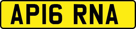 AP16RNA