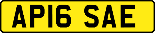 AP16SAE