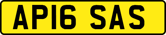 AP16SAS