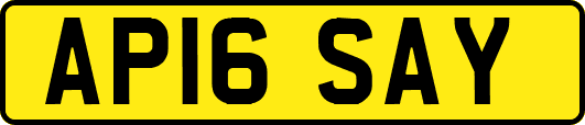 AP16SAY