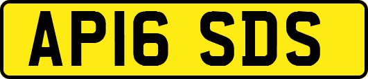 AP16SDS