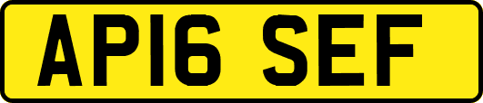 AP16SEF