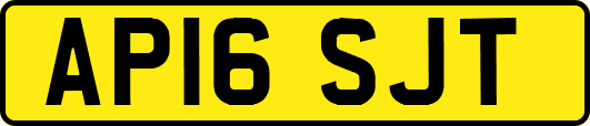 AP16SJT