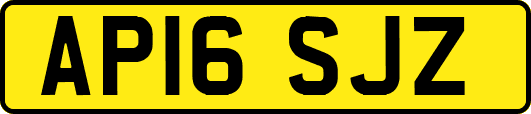 AP16SJZ