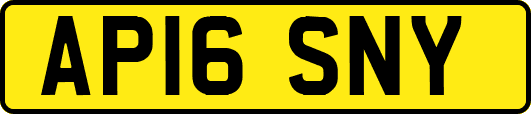 AP16SNY