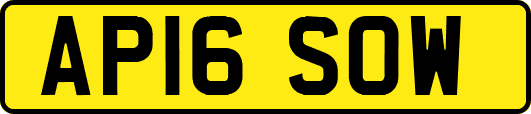 AP16SOW