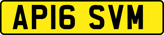 AP16SVM