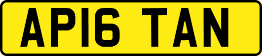 AP16TAN