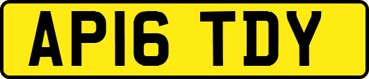 AP16TDY