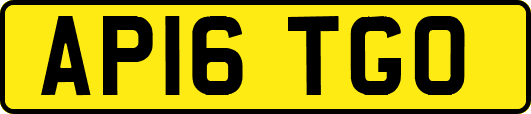 AP16TGO