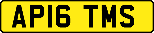 AP16TMS