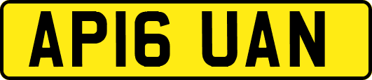 AP16UAN