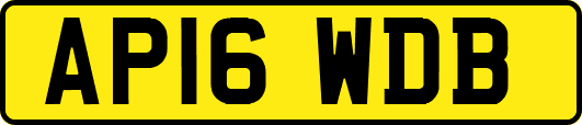 AP16WDB