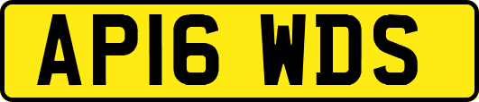 AP16WDS