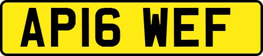 AP16WEF