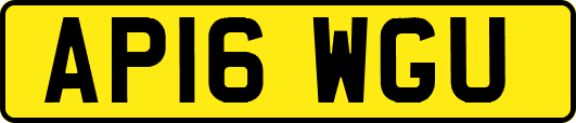 AP16WGU