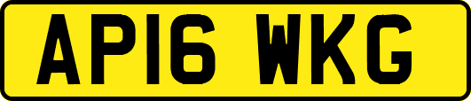 AP16WKG
