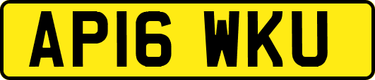 AP16WKU