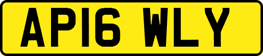 AP16WLY