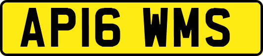 AP16WMS