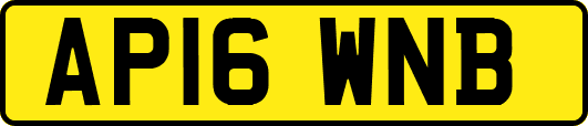 AP16WNB