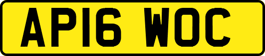 AP16WOC