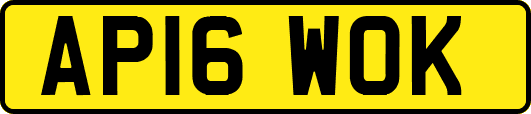 AP16WOK