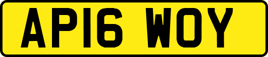 AP16WOY