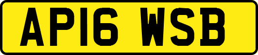 AP16WSB