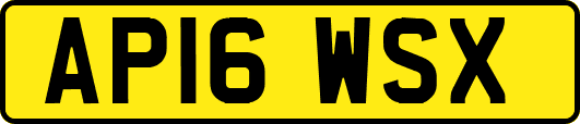 AP16WSX