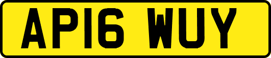 AP16WUY