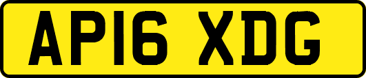 AP16XDG