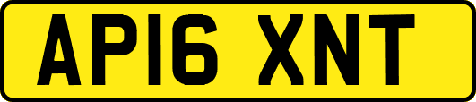 AP16XNT