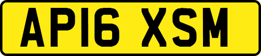 AP16XSM
