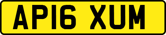 AP16XUM