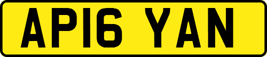 AP16YAN