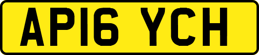AP16YCH