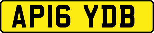 AP16YDB
