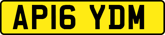 AP16YDM