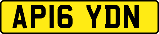 AP16YDN