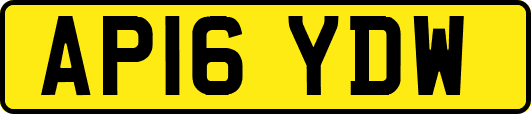 AP16YDW