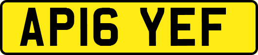 AP16YEF