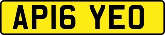 AP16YEO