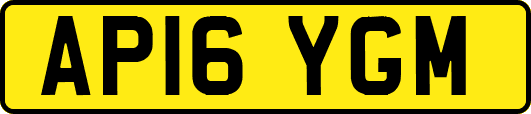AP16YGM
